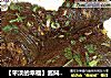 【平淡的幸福】酱焖鲶鱼的做法