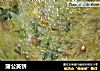 蒲公英饼的做法