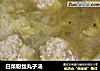白菜粉丝丸子汤的做法