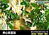 养心菜蛋汤的做法