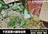 千页豆腐火腿粉丝煲的做法