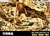 炸香椿鱼的做法