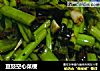 豆豉空心菜梗的做法