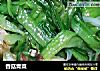 香菇青菜的做法