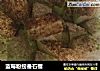 蓝莓粉捞番石榴的做法