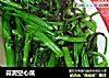 蒜泥空心菜的做法