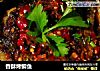 香酥烤鲫鱼的做法