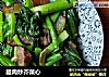 腊肉炒芥菜心的做法