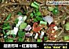 超级有味～红薯粉版“蚂蚁上树”的做法