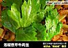泡椒香芹牛肉丝的做法