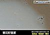 葵花籽豆浆的做法