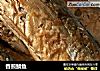香煎鲭鱼的做法