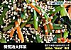 橄榄油大拌菜的做法