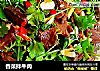 香菜拌牛肉的做法