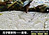 月子餐系列——黄骨鱼炖蛋的做法