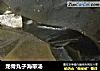 龙骨丸子海带汤的做法