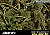 凉拌香椿芽的做法