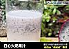 白心火龙果汁的做法
