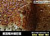豌豆糯米锅巴饭的做法