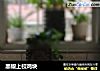 黑椒上校鸡块的做法