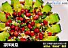 凉拌黄瓜的做法