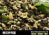 槐花炒鸡蛋的做法