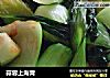 蒜蓉上海青的做法