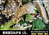 紫菜蛋花丸子汤（几分钟搞定）的做法
