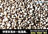 炒薏米泡水—祛湿美白排毒妙方的做法