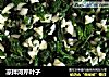 凉拌河芹叶子的做法
