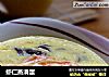 虾仁蒸滑蛋的做法