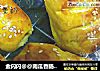 金闪闪@@南瓜香肠面包的做法