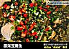 酸菜豆腐鱼的做法