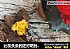 比街头卖的还好吃的烤地瓜|超级简单|零失败的做法