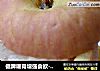 健脾暖胃增强食欲----糯米苹果盏的做法