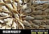 香菇猪肉馅饺子的做法
