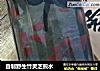 自制野生竹灵芝煎水的做法