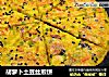 胡萝卜土豆丝煎饼的做法