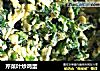 芹菜叶炒鸡蛋的做法