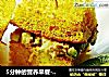 5分钟的营养早餐---金枪鱼迷你三明治的做法