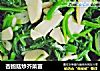 杏鲍菇炒芥菜苗的做法