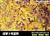 胡萝卜鸡蛋饼的做法