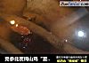 党参北芪炖山鸡“夏日懒人餐”的做法