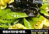 青椒木耳炒蛋#家常菜的做法