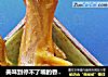 美味到停不了嘴的香卤鸭脚的做法