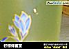 柠檬蜂蜜茶的做法