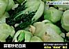 蒜蓉炒奶白菜的做法