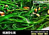 蚝油空心菜的做法