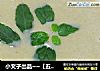小文子出品~~【五谷豆浆】的做法