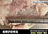 老椰子排骨汤的做法